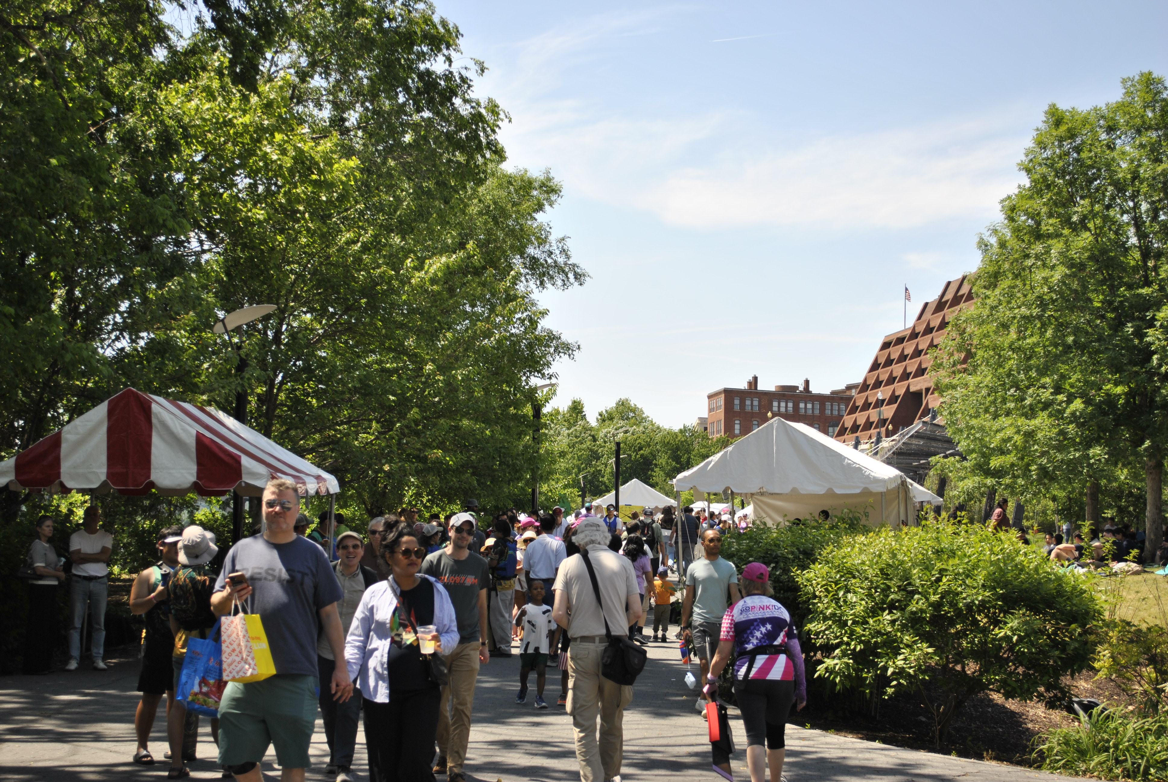 DC Dragon Boat Festival at Georgetown Waterfront Park